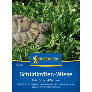 Schildkrötenmischung Grünfutter-Pflanzen