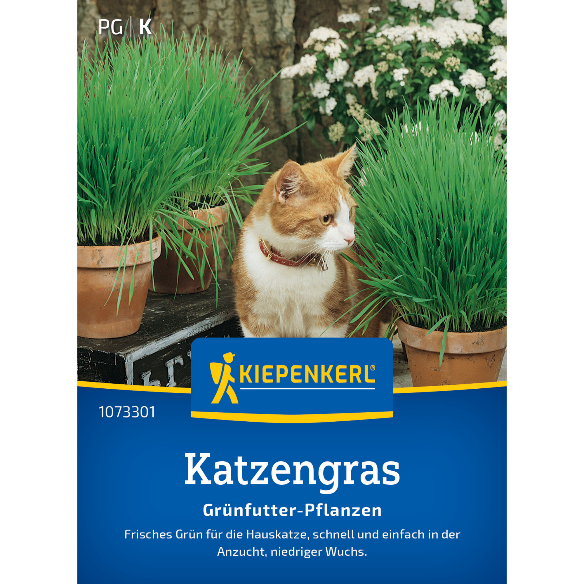 Katzengras Frischgrün Mischung