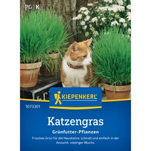 Katzengras Frischgrün Mischung