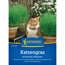Katzengras Frischgrün Mischung