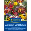 hauptbild