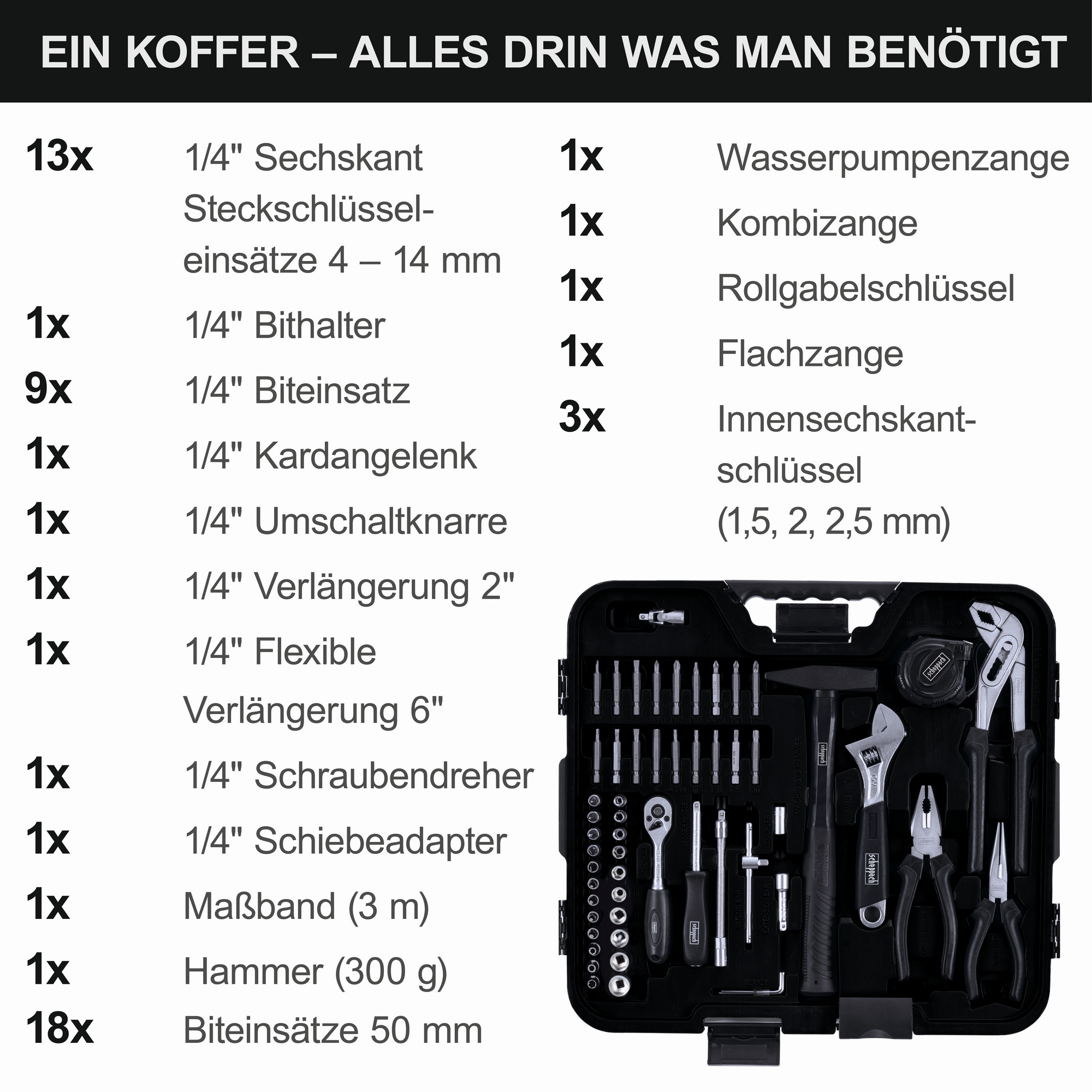 Werkzeugkoffer 'WZB99-BE' 90-teilig