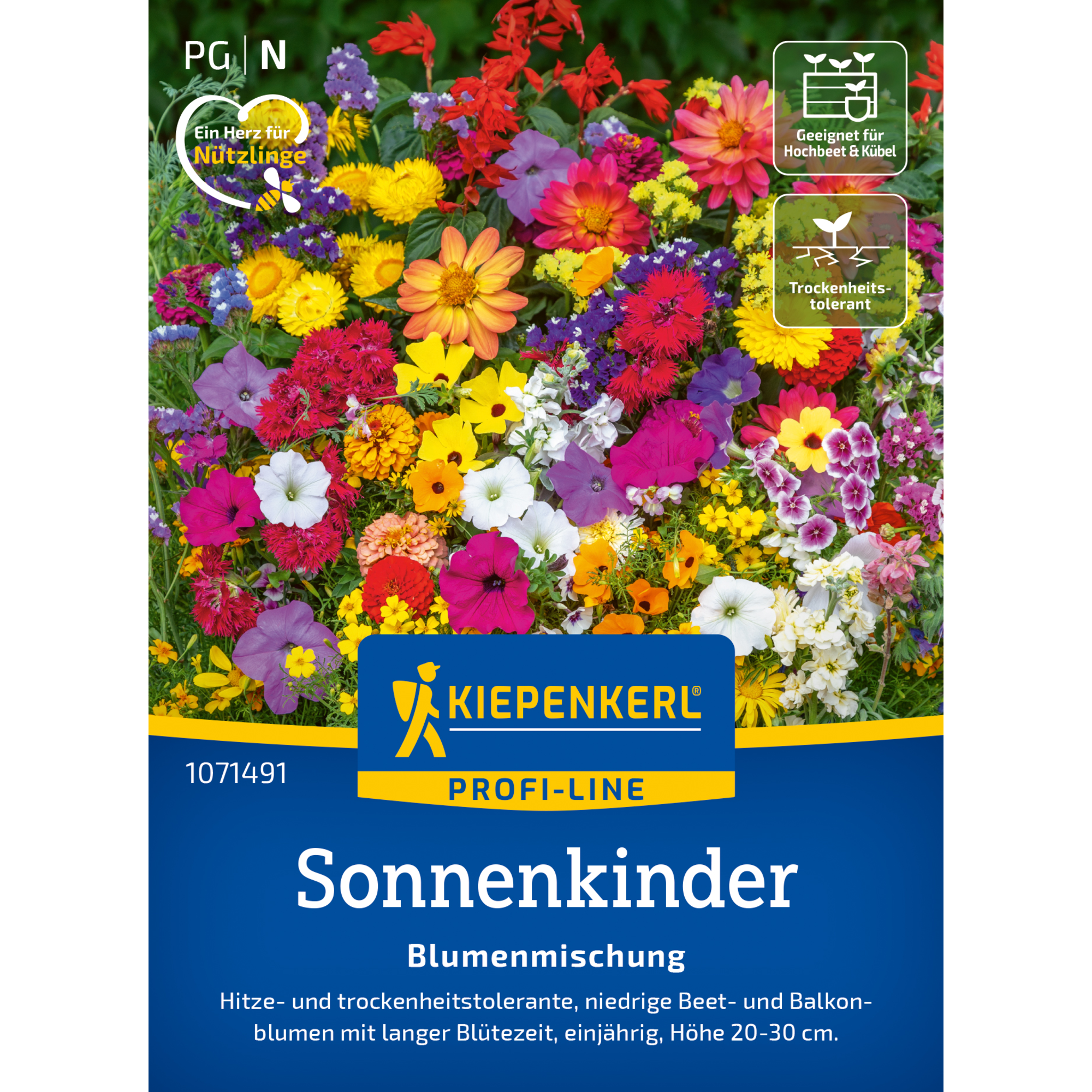 Blumenmischung 'Pflegeleichte Sonnenkinder'