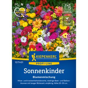 Blumenmischung 'Pflegeleichte Sonnenkinder'