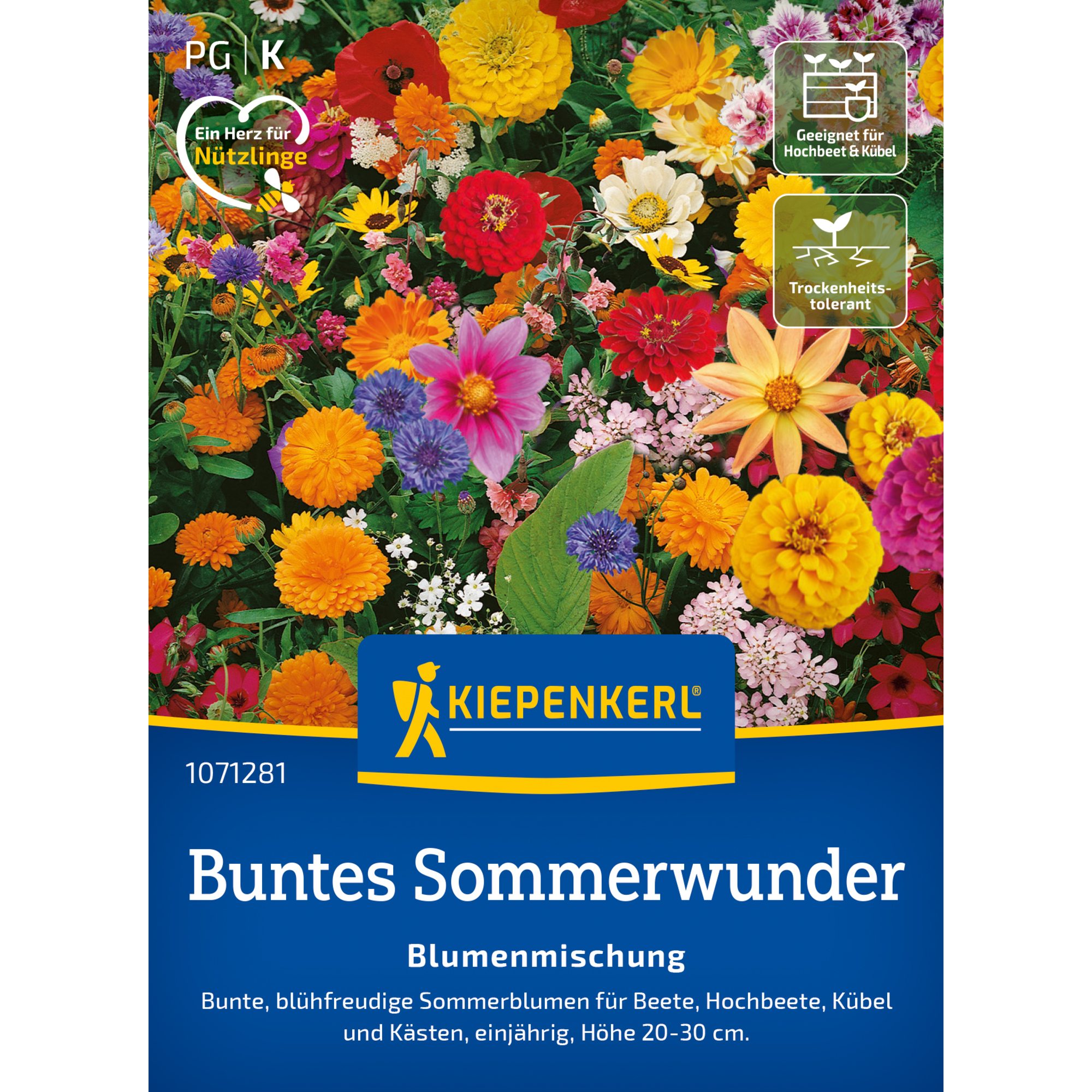 Blumenmischung 'Buntes Sommerwunder'