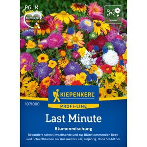 Blumenmischung 'Last Minute'