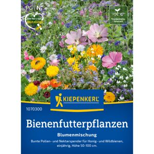 Blumenmischung 'Bienenfutterpflanzen'