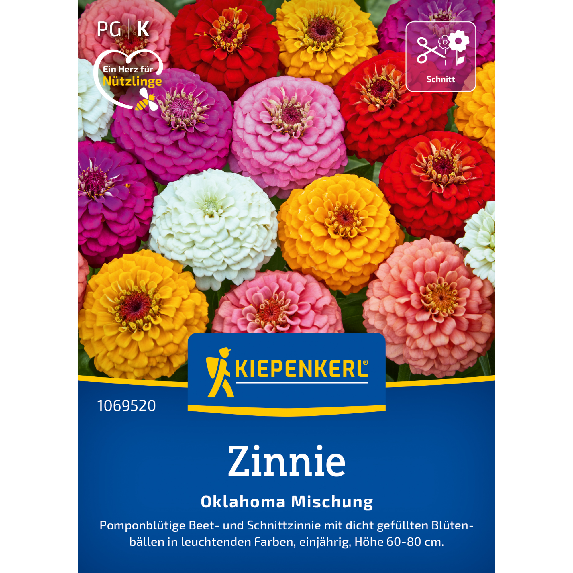 Zinnie 'Oklahoma Mischung'