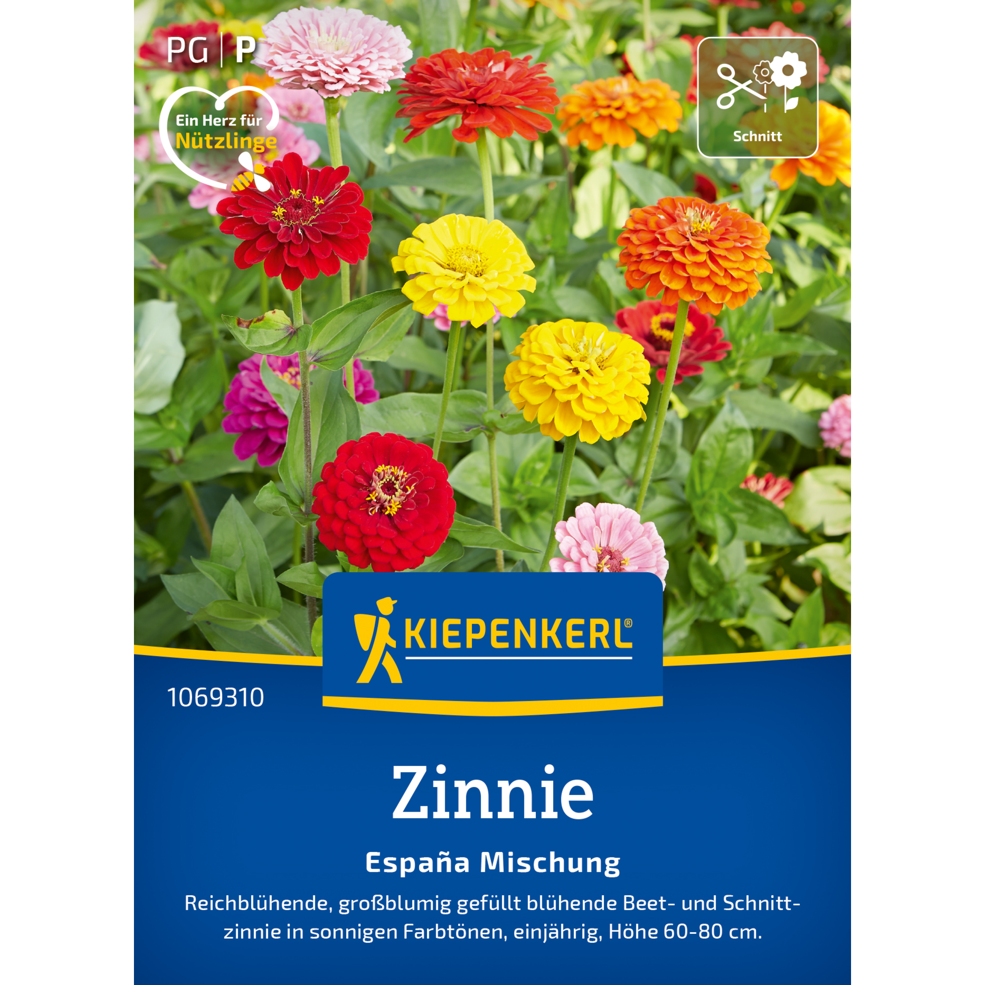Zinnie 'Espana Mischung'