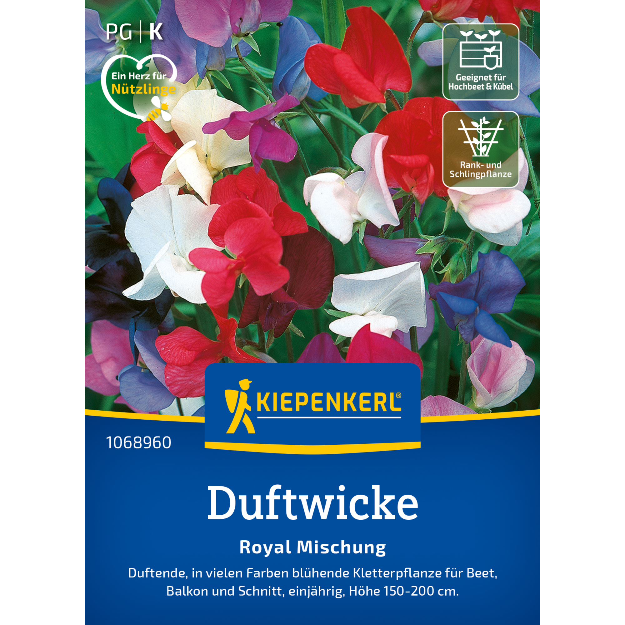 Duftwicke 'Royal Mischung'