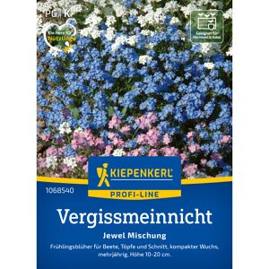 Vergissmeinnicht 'Jewel Mischung'