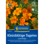 Kleinblütige Tagetes 'Luna Orange'