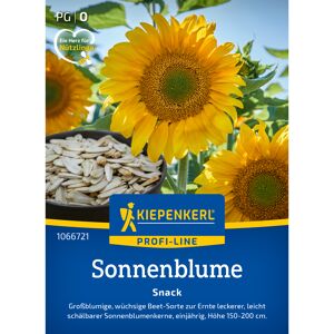 Sonnenblume 'Snack'