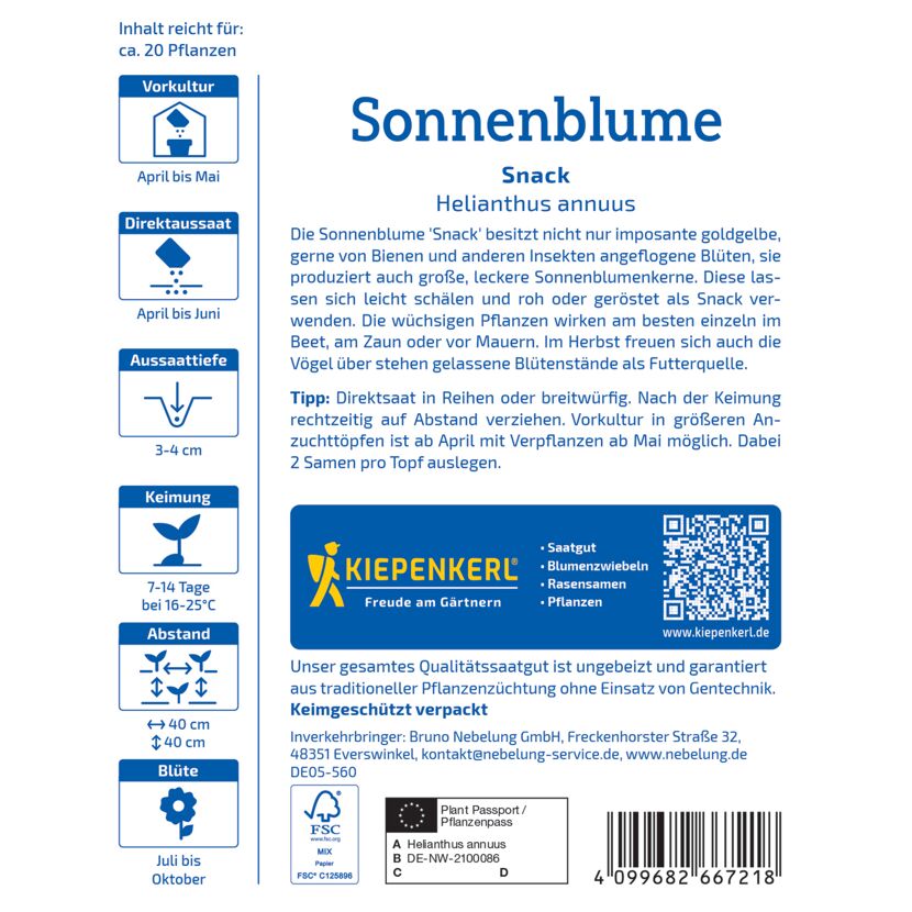 Sonnenblume 'Snack'