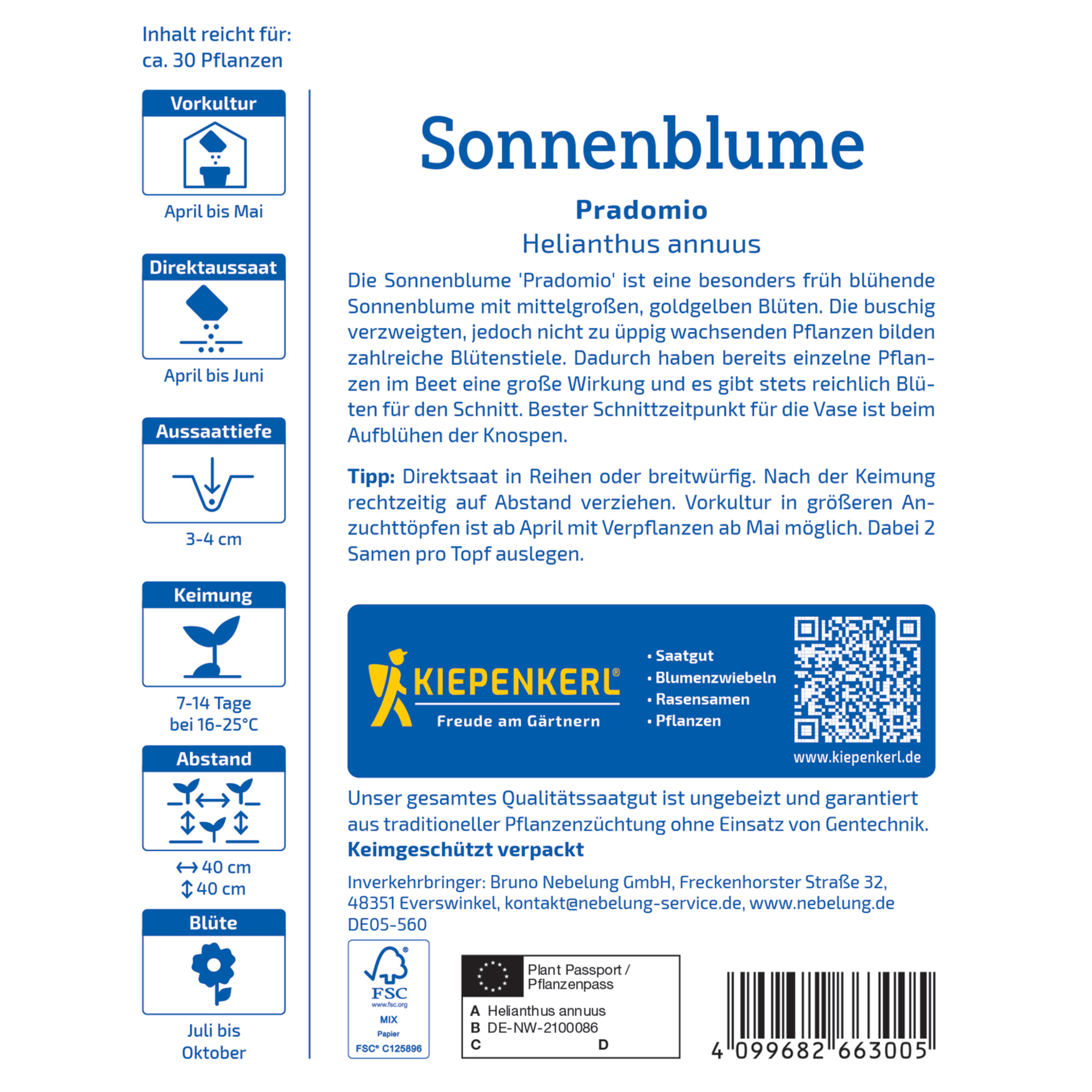 Sonnenblume 'Pradomio'