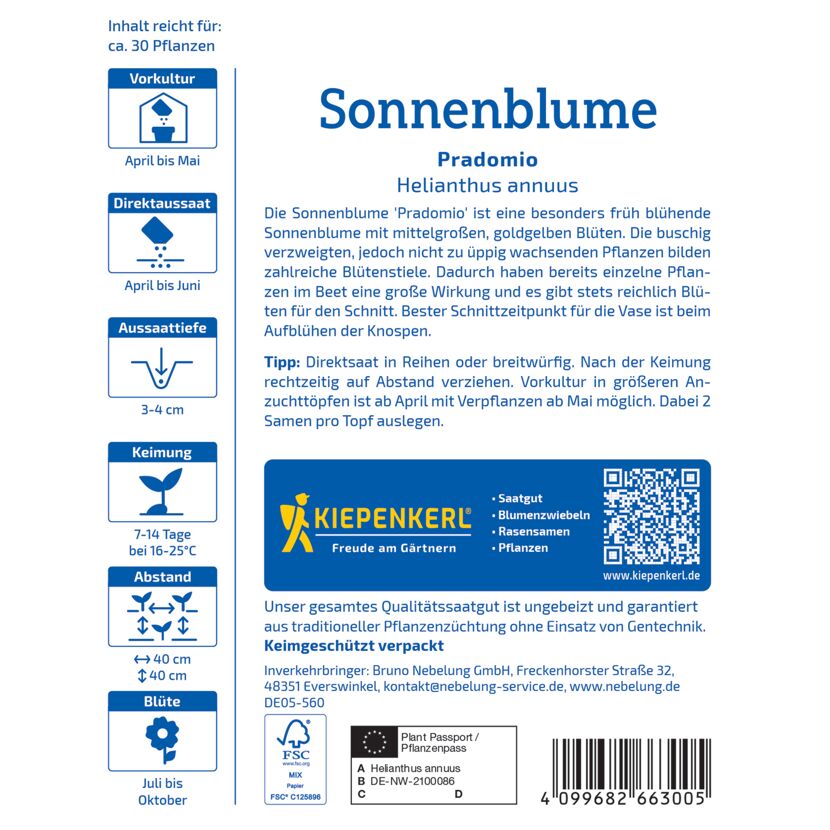 Sonnenblume 'Pradomio'