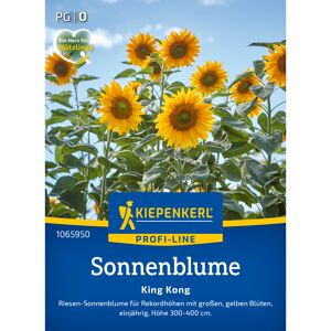 Sonnenblume 'King Kong'