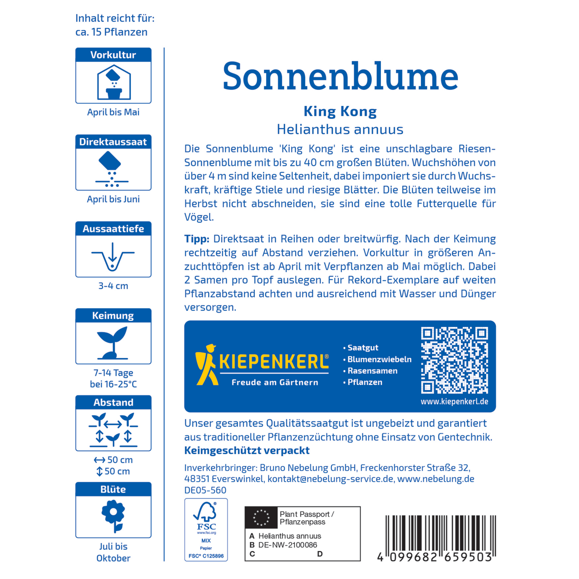 Sonnenblume 'King Kong'