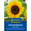Sonnenblume 'Gelber Diskus'