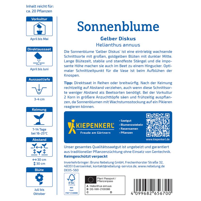 Sonnenblume 'Gelber Diskus'