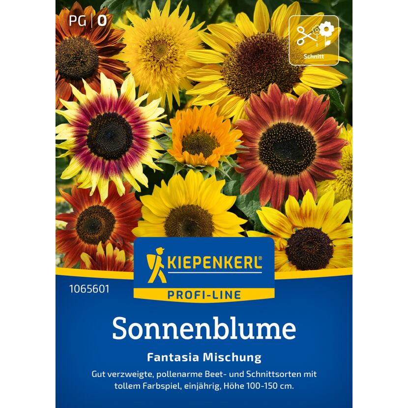 Sonnenblume 'Fantasia Mischung' F1-Hybride