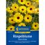 Ringelblume 'Touch Of Red'