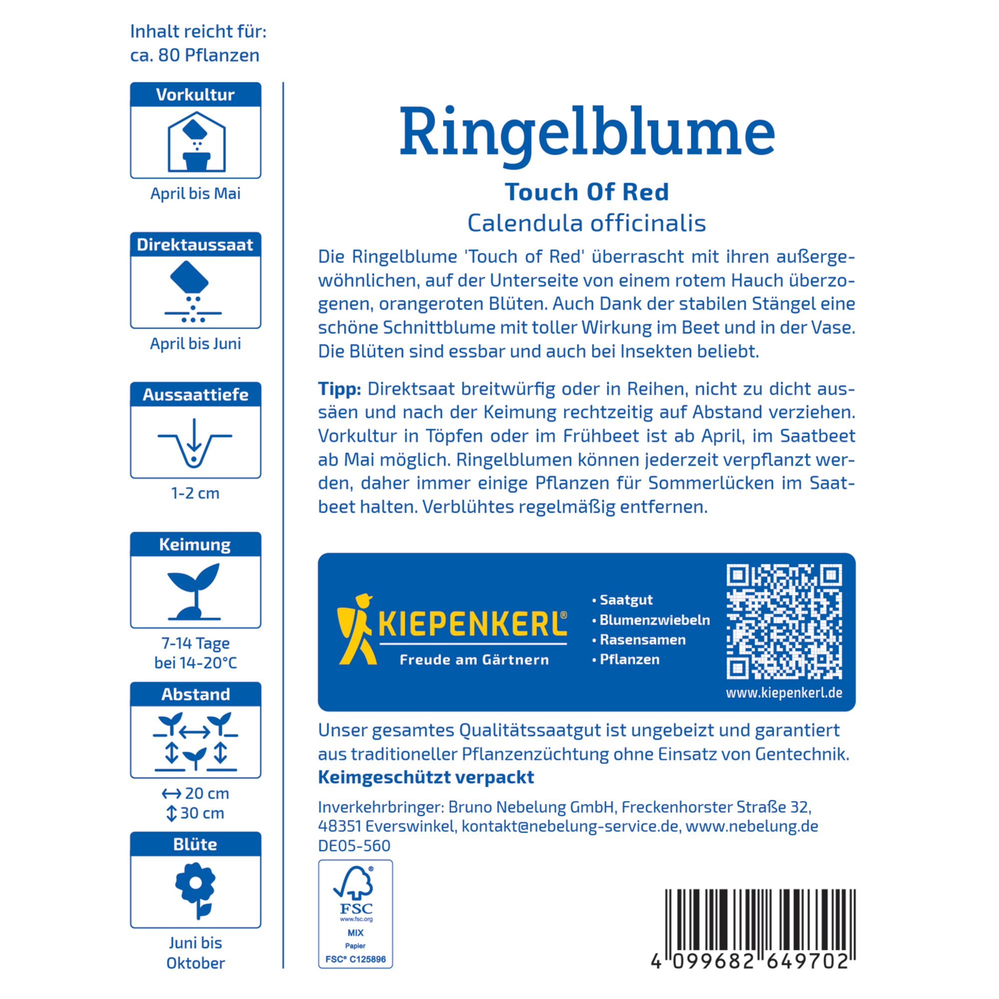 Ringelblume 'Touch Of Red'