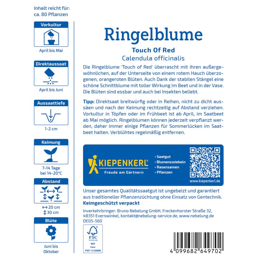 Ringelblume 'Touch Of Red'