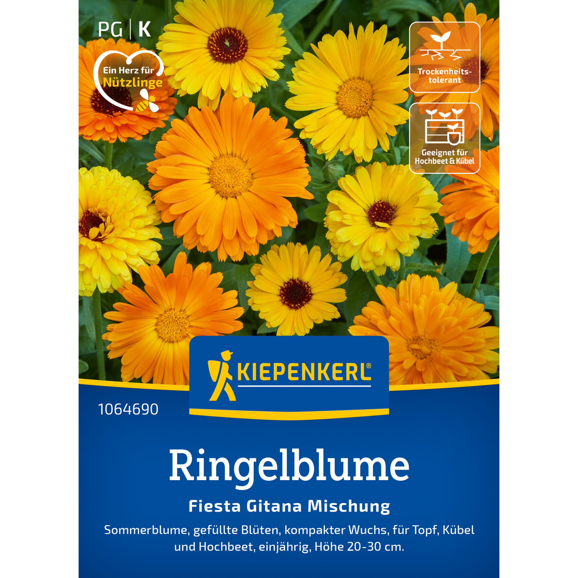 Ringelblume 'Fiesta Gitana Mischung'