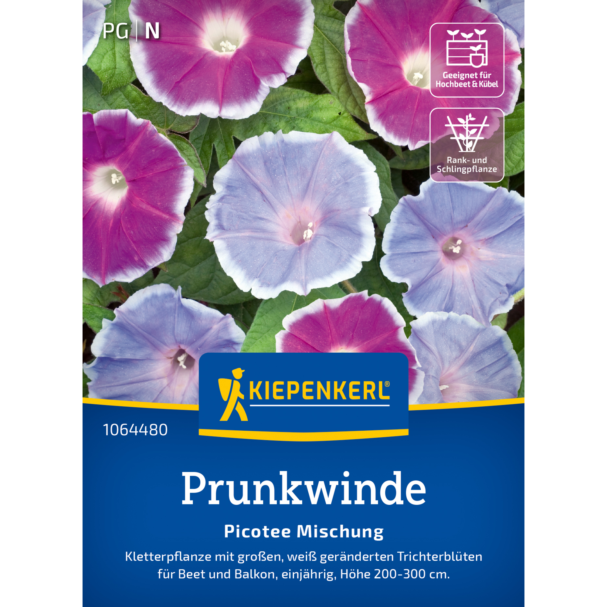 Prunkwinde 'Picotee Mix'