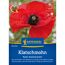 Klatschmohn