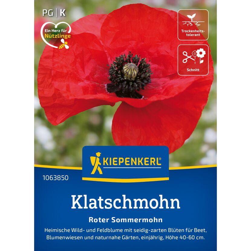 Klatschmohn