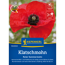 Klatschmohn