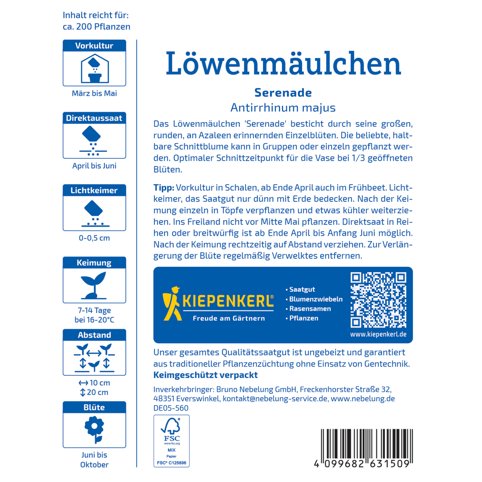 Löwenmäulchen 'Serenade'