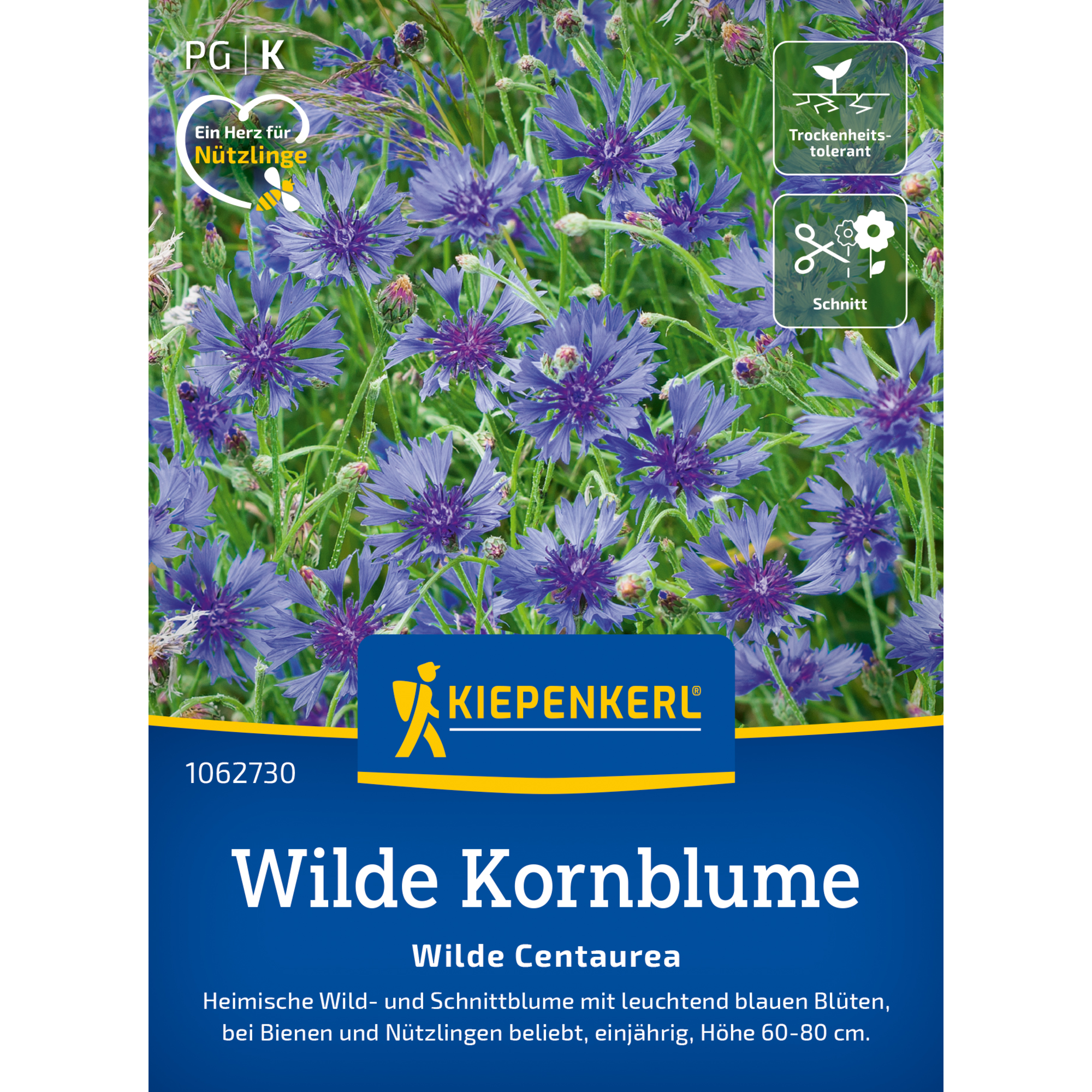 Wilde Kornblume
