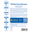 Wilde Kornblume