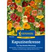 hauptbild