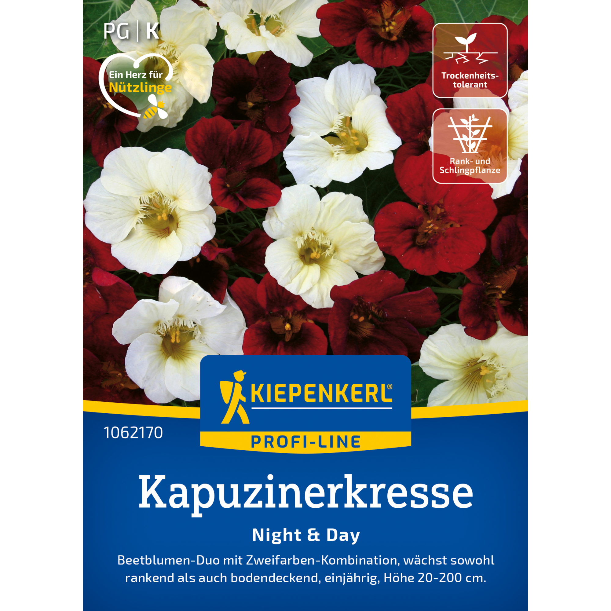 Kapuzinerkresse 'Night & Day'