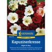 hauptbild