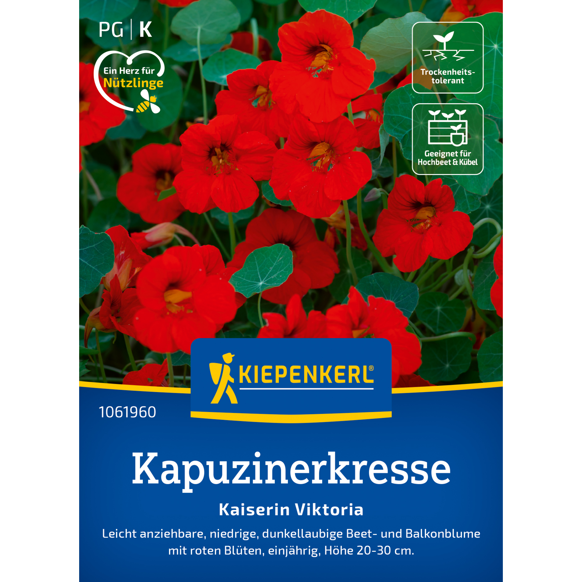 Kapuzinerkresse 'Kaiserin Viktoria'