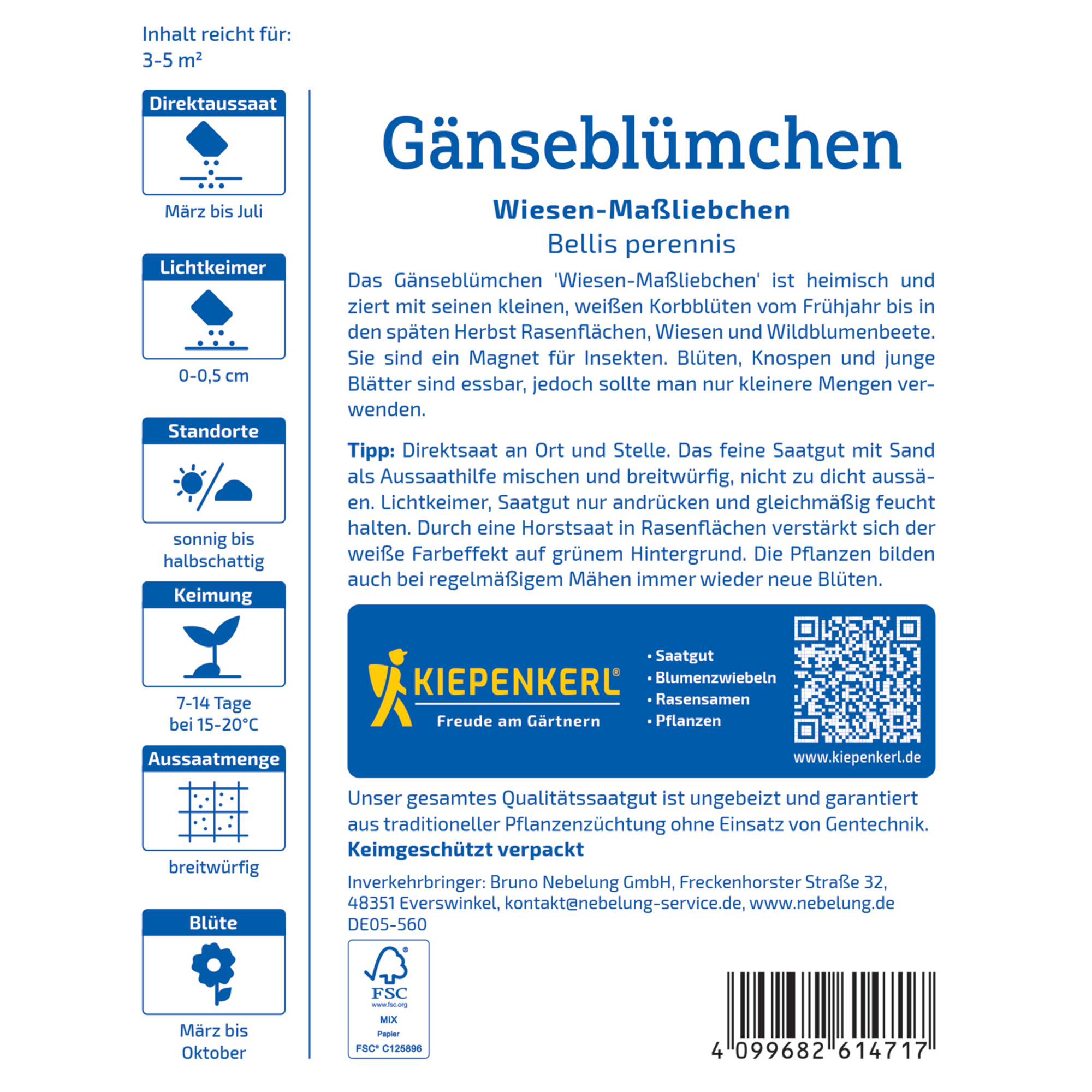 Gänseblümchen 'Wiesen-Maßliebchen'
