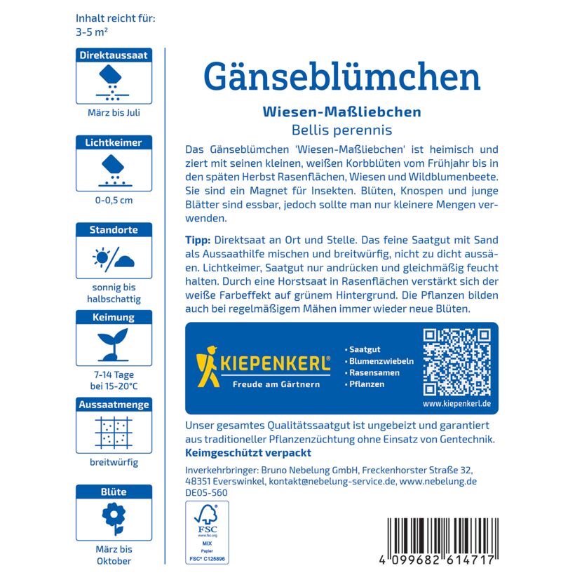 Gänseblümchen 'Wiesen-Maßliebchen'