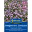 Patagonisches Eisenkraut 'Argentinische Verbene'
