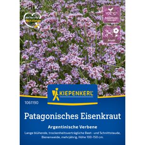 Patagonisches Eisenkraut 'Argentinische Verbene'