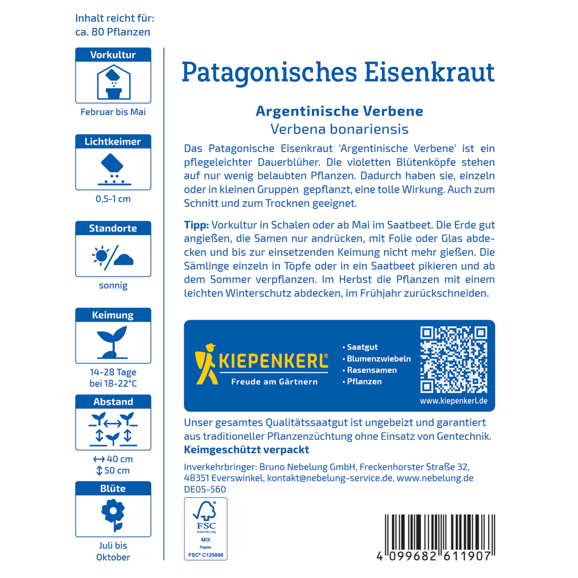 Patagonisches Eisenkraut 'Argentinische Verbene'