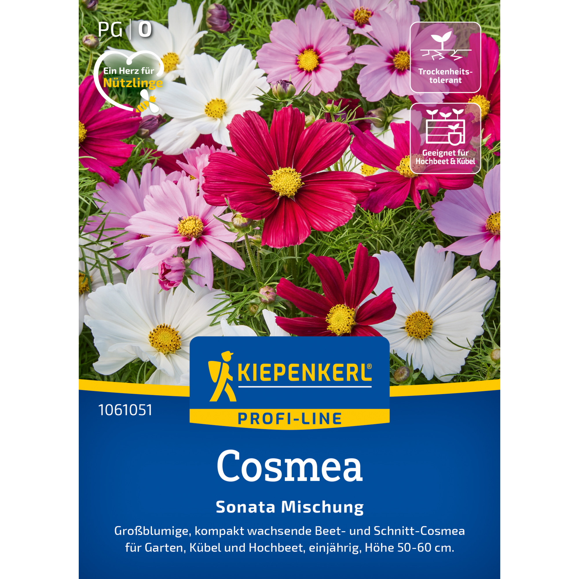 Cosmea 'Sonata Mischung'