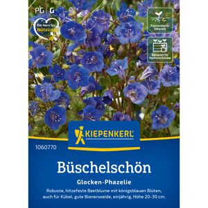 Büschelschön 'Glocken-Phazelie'