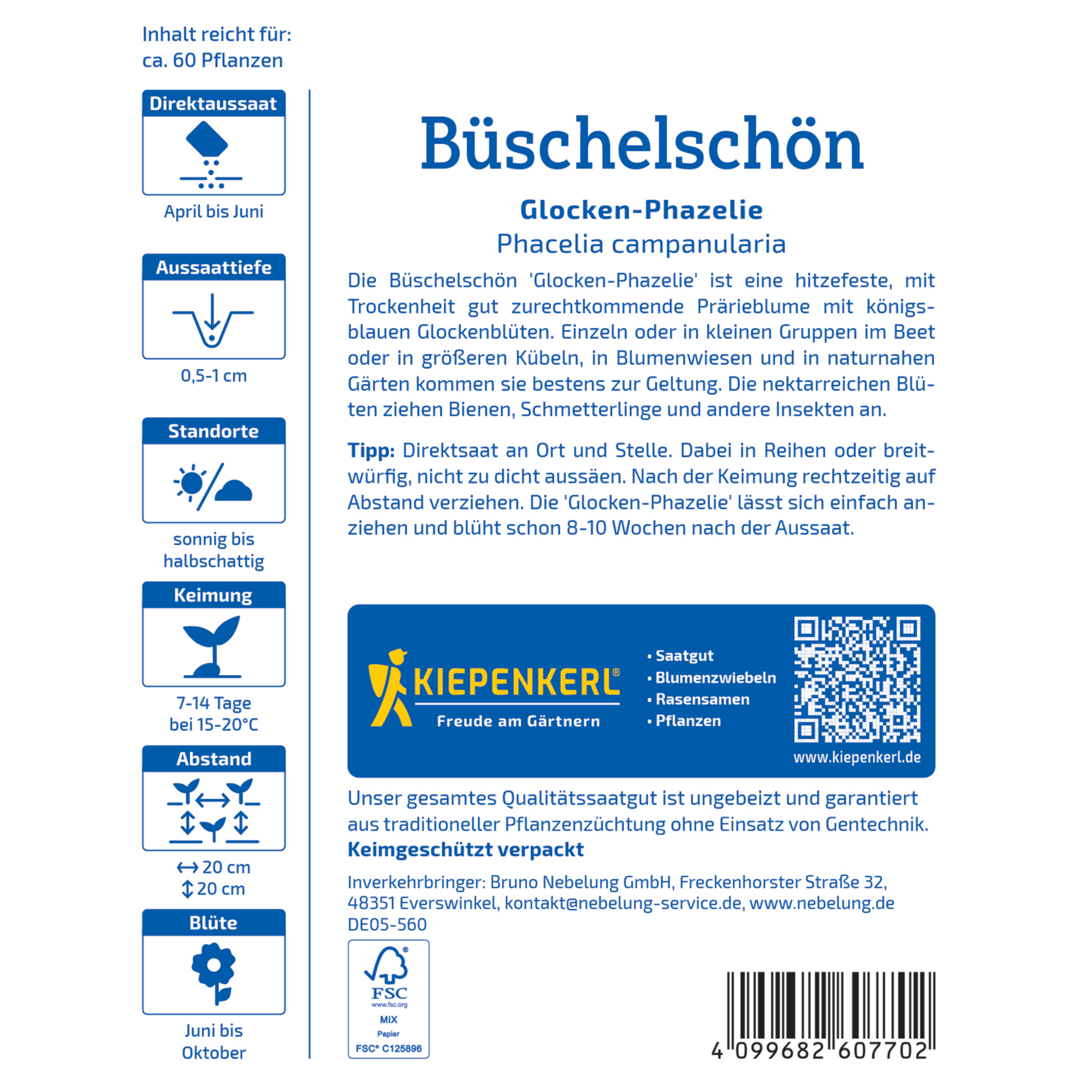 Büschelschön 'Glocken-Phazelie'