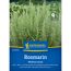 Rosmarin 'Mediterranea'