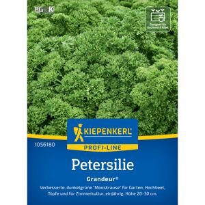 Petersilie 'Grandeur®'